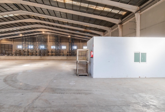 Wynajem długoterminowy - Nieruchomość komercyjna - Pilar de la Horadada - Polígono industrial Cañada de Práez