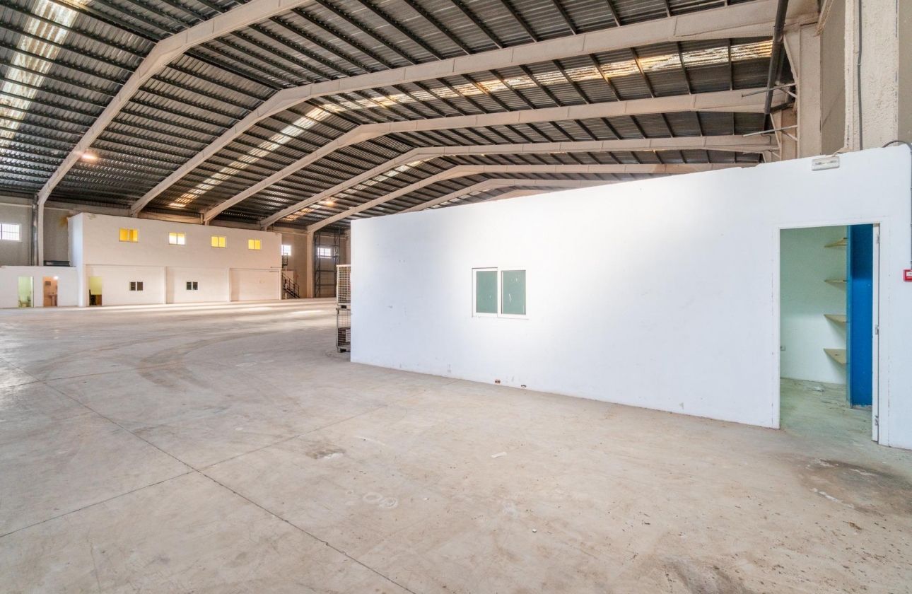 Wynajem długoterminowy - Nieruchomość komercyjna - Pilar de la Horadada - Polígono industrial Cañada de Práez