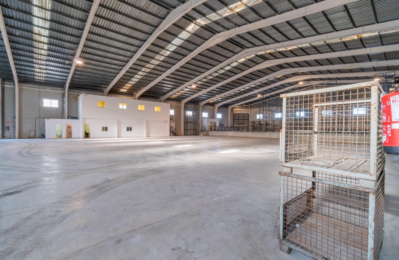 Wynajem długoterminowy - Nieruchomość komercyjna - Pilar de la Horadada - Polígono industrial Cañada de Práez