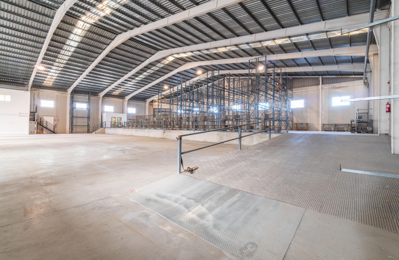 Wynajem długoterminowy - Nieruchomość komercyjna - Pilar de la Horadada - Polígono industrial Cañada de Práez