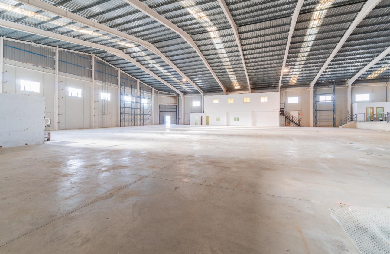 Wynajem długoterminowy - Nieruchomość komercyjna - Pilar de la Horadada - Polígono industrial Cañada de Práez
