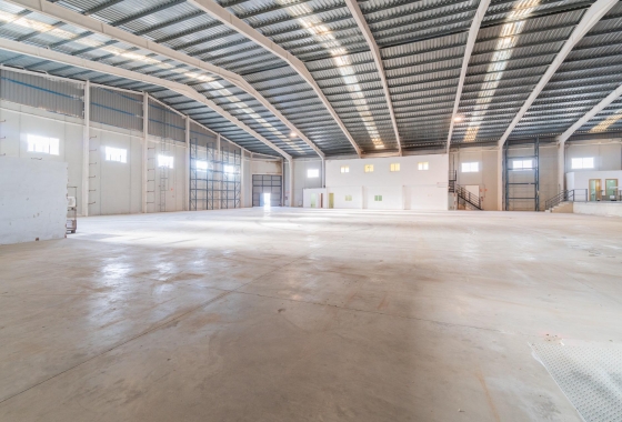 Wynajem długoterminowy - Nieruchomość komercyjna - Pilar de la Horadada - Polígono industrial Cañada de Práez