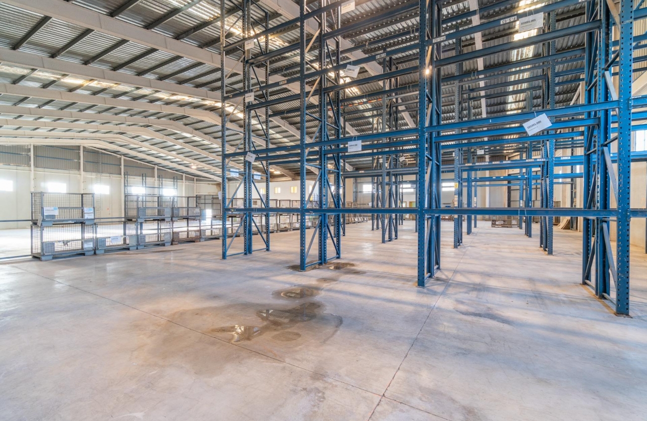 Wynajem długoterminowy - Nieruchomość komercyjna - Pilar de la Horadada - Polígono industrial Cañada de Práez