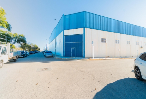 Wynajem długoterminowy - Nieruchomość komercyjna - Pilar de la Horadada - Polígono industrial Cañada de Práez