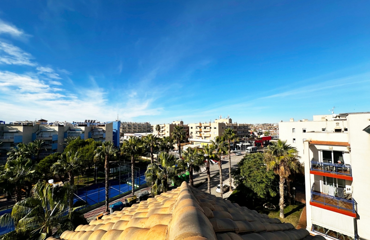 Rynek wtórny - Apartament - Orihuela Costa - Aguamarina