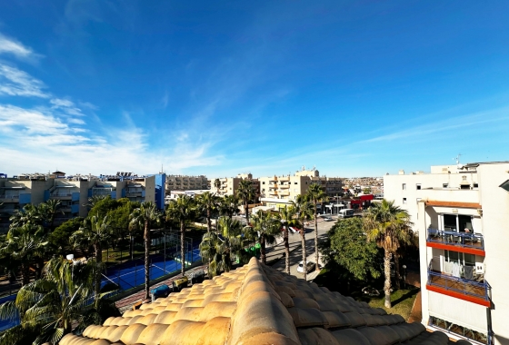 Rynek wtórny - Apartament - Orihuela Costa - Aguamarina