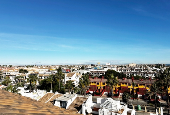 Rynek wtórny - Apartament - Orihuela Costa - Aguamarina