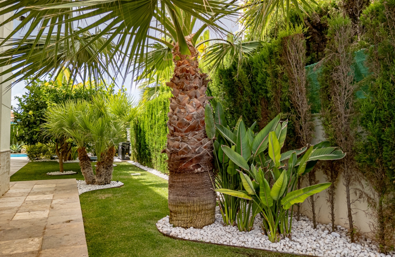 Rynek wtórny - Villa - La Zenia - Beachside