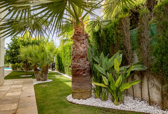 Rynek wtórny - Villa - La Zenia - Beachside