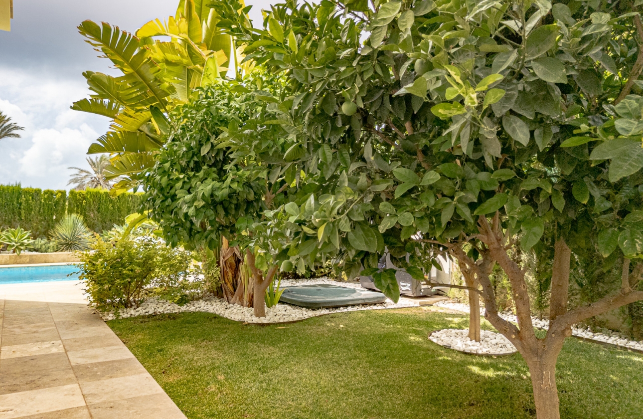 Rynek wtórny - Villa - La Zenia - Beachside