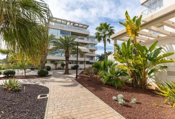 Rynek wtórny - Apartament - Orihuela Costa - Los Dolses