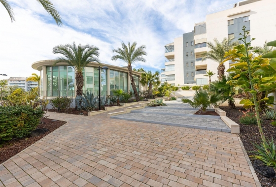 Rynek wtórny - Apartament - Orihuela Costa - Los Dolses