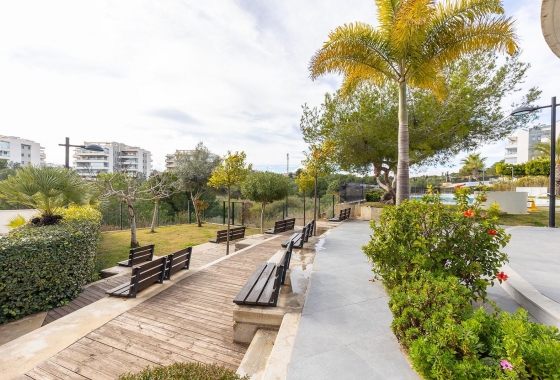 Rynek wtórny - Apartament - Orihuela Costa - Los Dolses