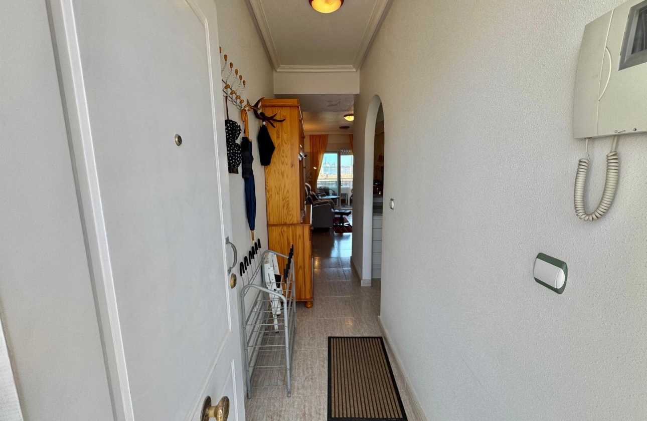 Reventa - Apartment - Almoradí