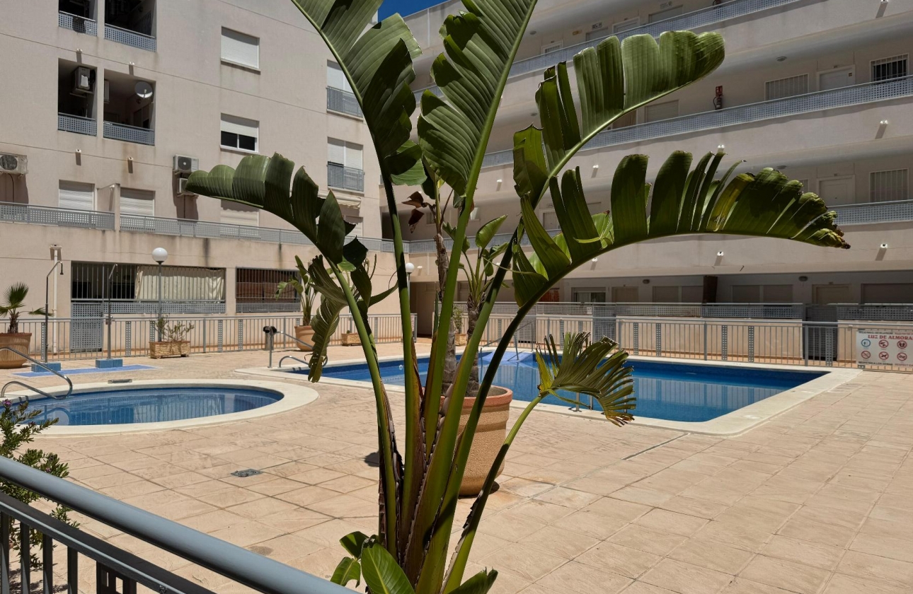 Reventa - Apartment - Almoradí
