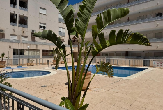 Reventa - Apartment - Almoradí