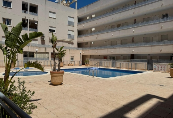 Reventa - Apartment - Almoradí