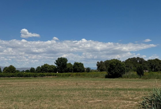 Reventa - Apartment - Almoradí