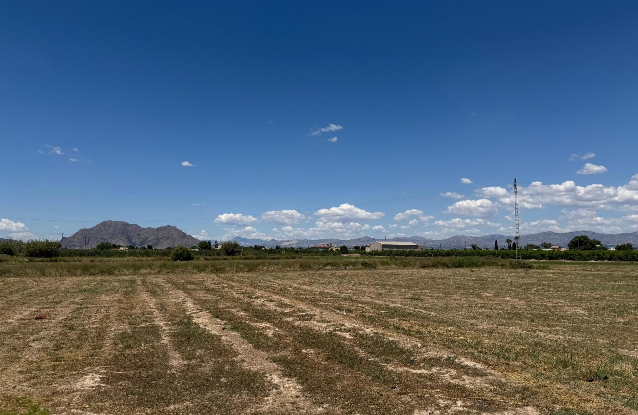 Reventa - Apartment - Almoradí