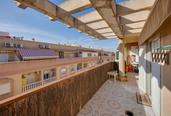 Rynek wtórny - Apartament - Torrevieja - Parque de Las Naciones