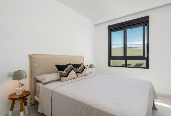 Resale - Apartment - San Miguel de Salinas