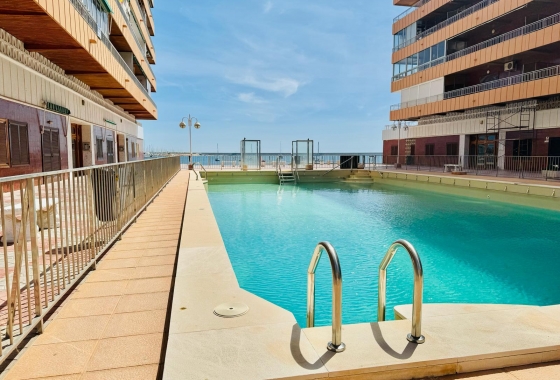 Rynek wtórny - Apartament - Torrevieja - Acequion