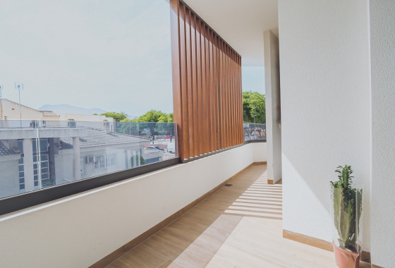 Rynek pierwotny - Penthouse - Redován