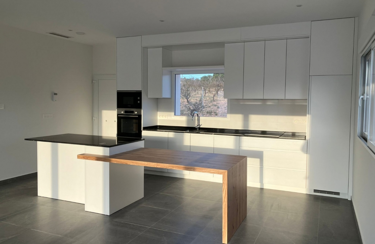 Obra nueva - Detached - Pinoso