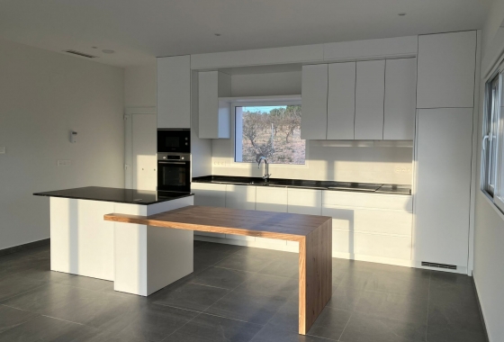 Obra nueva - Detached - Pinoso