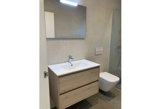 Obra nueva - Detached - Pinoso