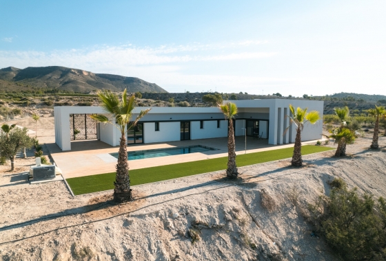 Obra nueva - Detached - Pinoso