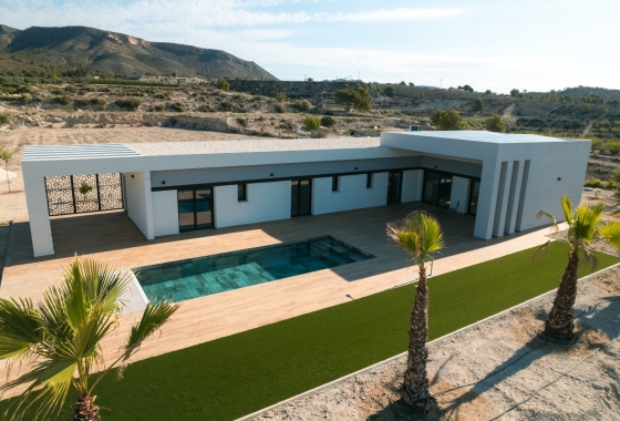 Obra nueva - Detached - Pinoso