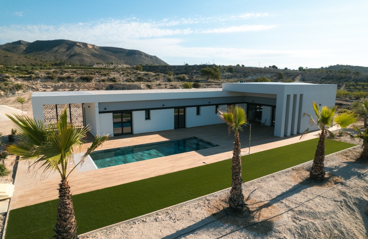 Obra nueva - Detached - Pinoso