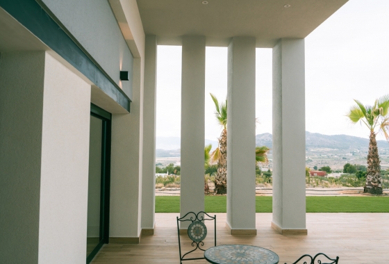 Obra nueva - Detached - Pinoso