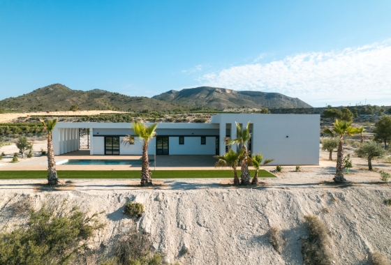 Obra nueva - Detached - Pinoso