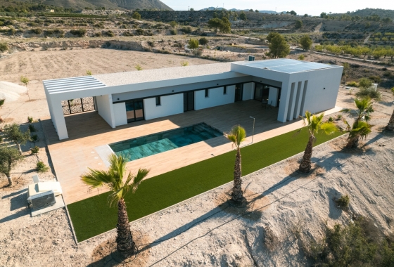 Obra nueva - Detached - Pinoso