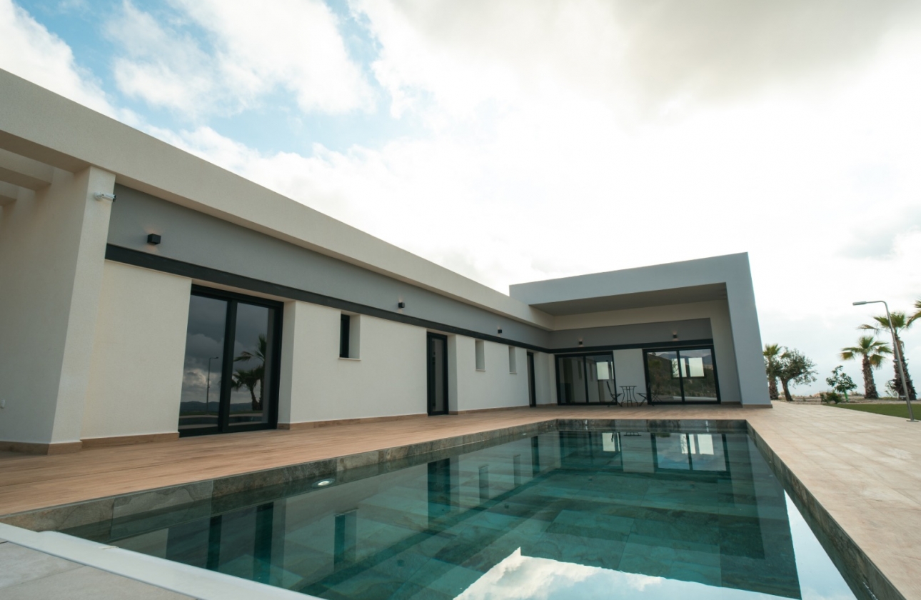 Obra nueva - Detached - Pinoso