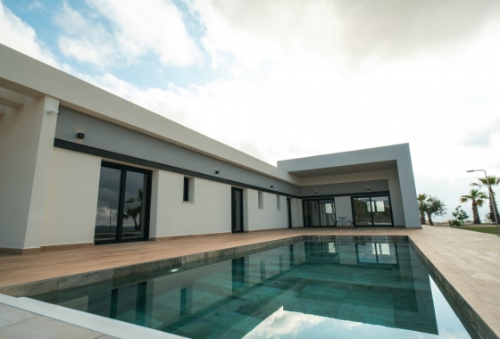 Obra nueva - Detached - Pinoso