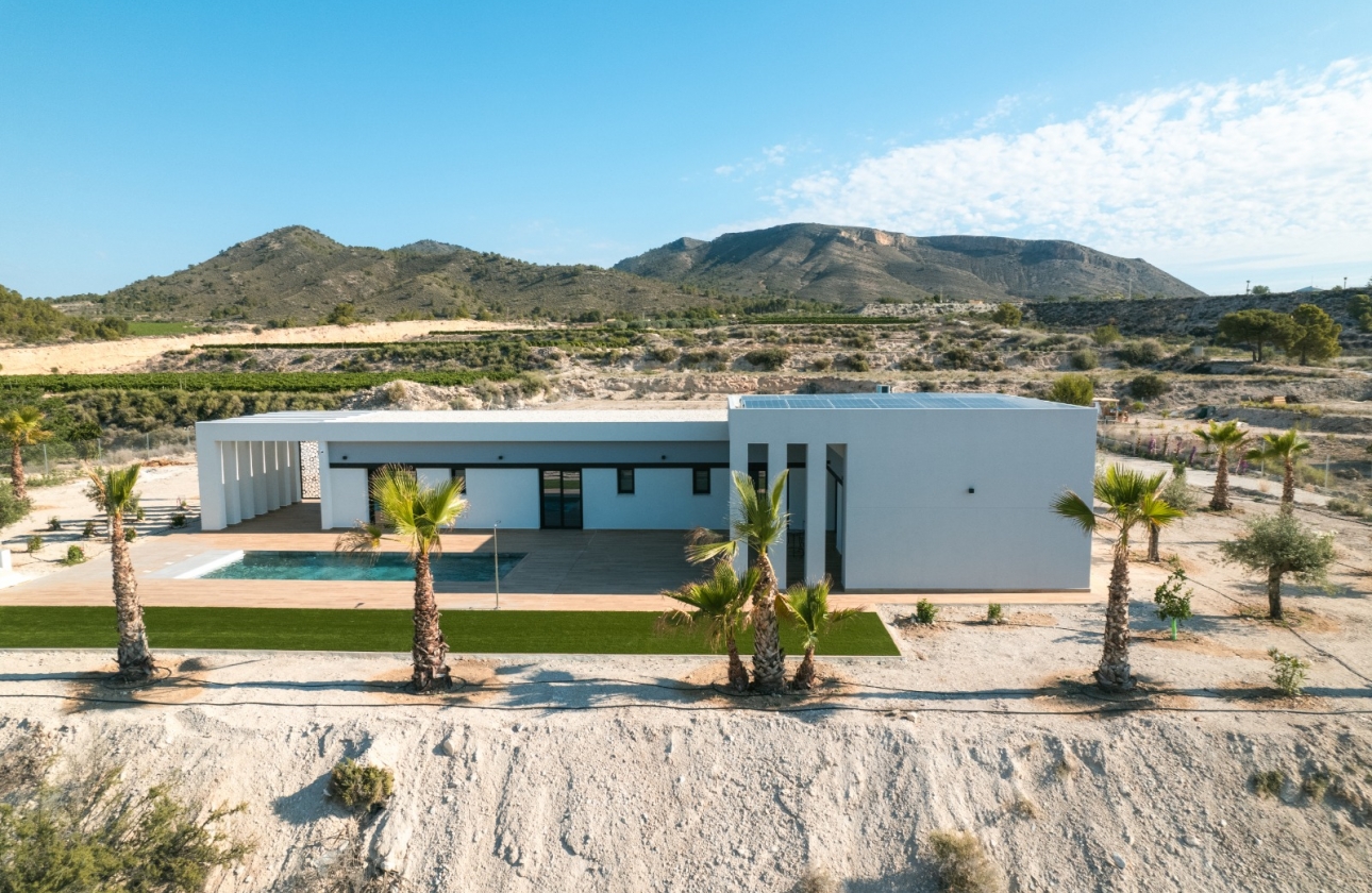 Obra nueva - Detached - Pinoso