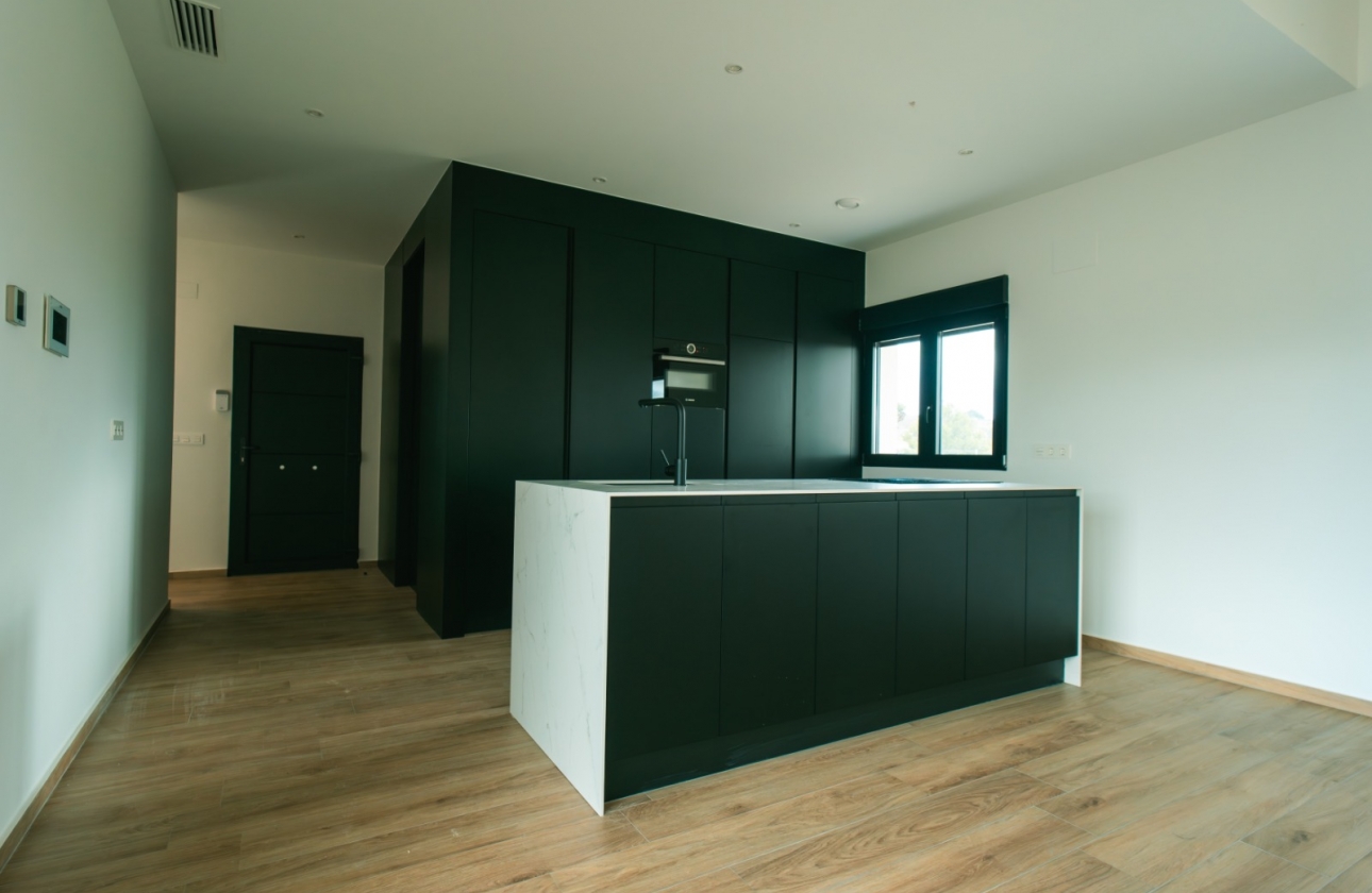 Obra nueva - Detached - Pinoso