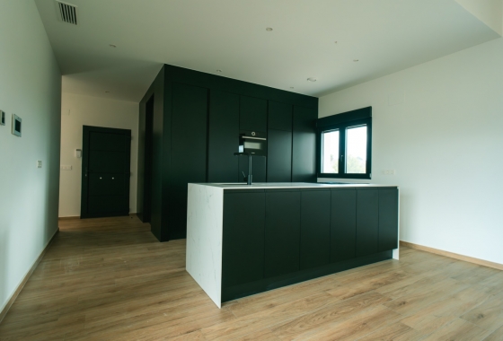 Obra nueva - Detached - Pinoso