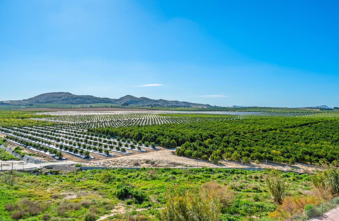 Reventa - Apartment - Algorfa