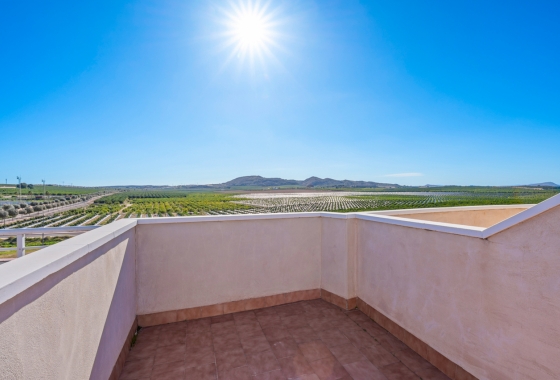 Reventa - Apartment - Algorfa