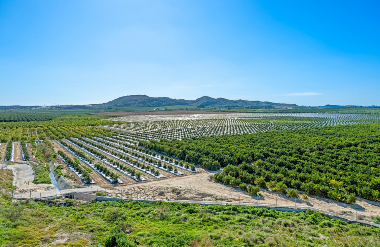 Reventa - Apartment - Algorfa