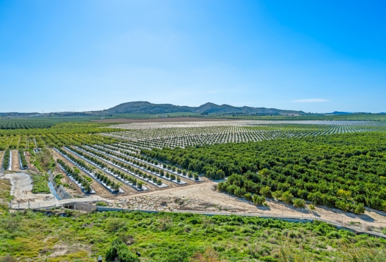 Reventa - Apartment - Algorfa