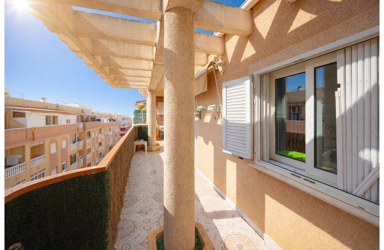 Rynek wtórny - Apartament - Torrevieja - Parque de Las Naciones