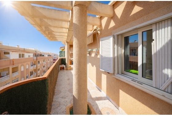 Rynek wtórny - Apartament - Torrevieja - Parque de Las Naciones