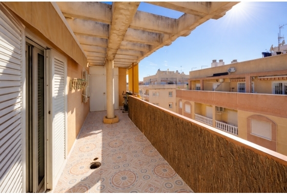 Rynek wtórny - Apartament - Torrevieja - Parque de Las Naciones