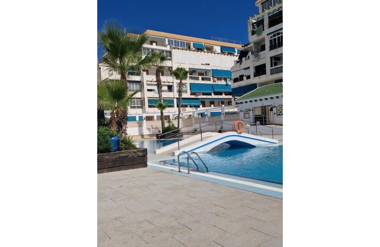 Rynek wtórny - Studio/Kawalerka - Torrevieja - La Mata