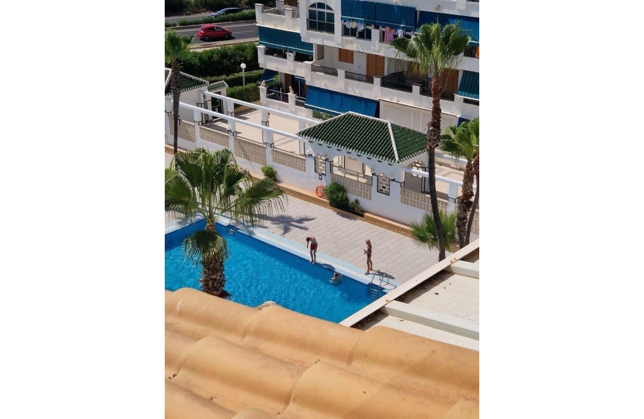 Rynek wtórny - Studio/Kawalerka - Torrevieja - La Mata